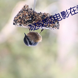 哒哒哒电影在线观看高清
