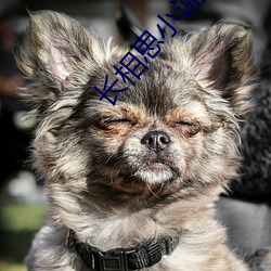 长(zhǎng)相(xiāng)思小说桐华