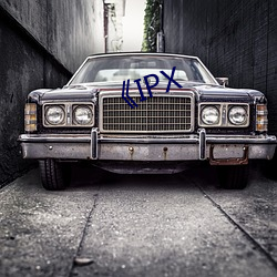 《IPX