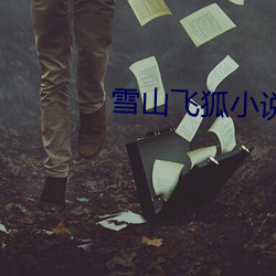 雪山(shān)飞狐(hú)小说