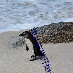 我从末世开始无敌