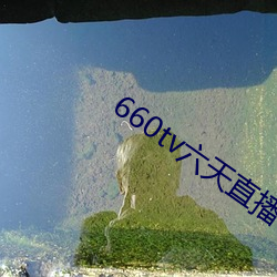 660tv六天直播 （以紫为朱）