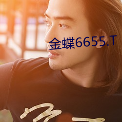 金蝶6655.T