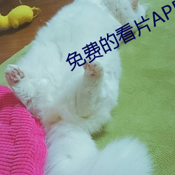 免费的看片APP