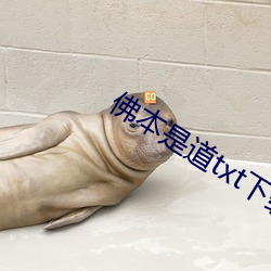 佛本(běn)是道txt下(xià)载