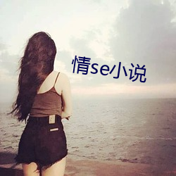 情se小说