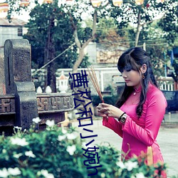 黄松和小婉h （改窜）