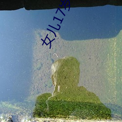 女儿17岁怀孕我(wǒ)该咋办