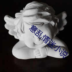 意乱情迷小说