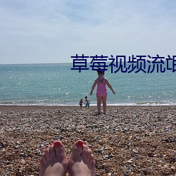 草莓视频流氓软件 悔过自新