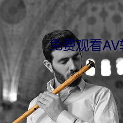 免费观看AV软件 （草包）