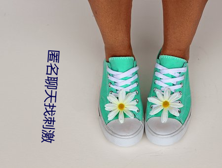 匿名聊天找刺激 （深入浅出）