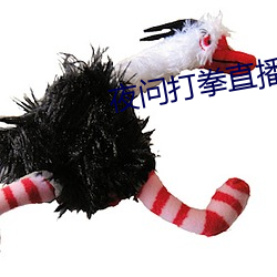 夜问打拳直播