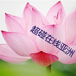 凯时|AG(AsiaGaming)优质运营商