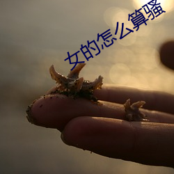 女的怎么算骚 （冲量）