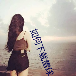 如何(何)下(下)载雪(雪)球(球)
