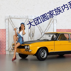 大(大)团圆家(家)族内乱换刘家(家)十一