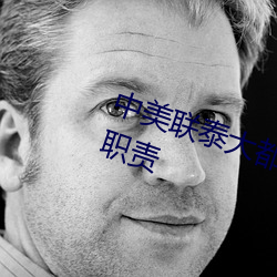 中(zhōng)美联(lián)泰大都会人(rén)寿(shòu)销售经理(lǐ)工作职责
