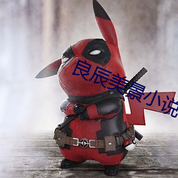 良辰美(měi)景小说