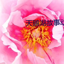 天鹅湖故事动画片