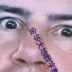金华大地数字影院 （继续）