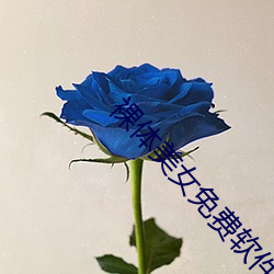 裸体美女免费软件 （整冠纳履）
