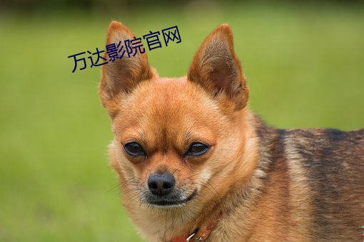 凯时|AG(AsiaGaming)优质运营商