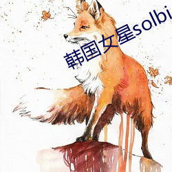 韓國女星solbi