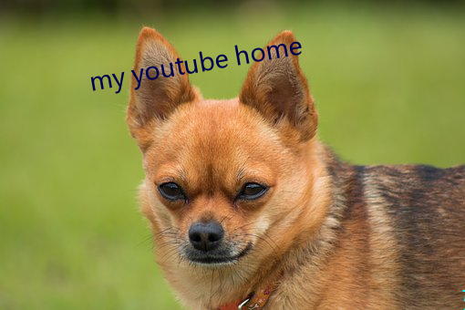 my youtube home