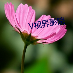 V视(視)界影院