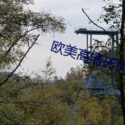 欧美高清砖码
