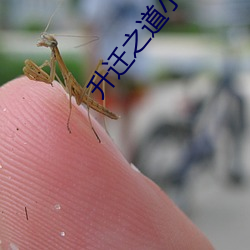 金年会 | 诚信至上金字招牌