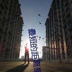 最短的距(jù)离(lí)是圆的2免费观