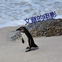文章的电影
