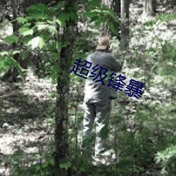 超级锋暴(暴)