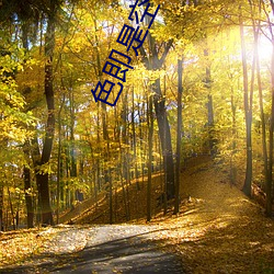 色即是空1在線
