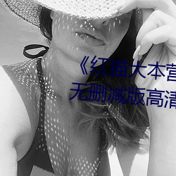 《紅貓大本營212hmcom》全集無刪減版高清在線觀看
