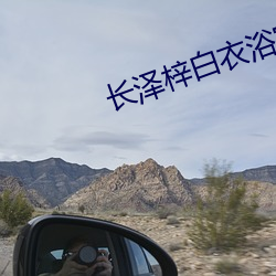 长泽梓白衣(衣)浴室(室)