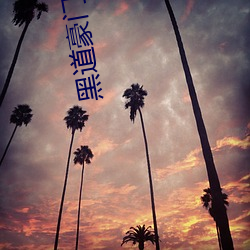 尊龙凯时-人生就是搏!
