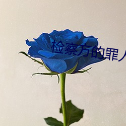 检(jiǎn)察方的(de)罪人