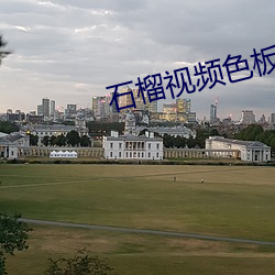 石榴視頻色板下載