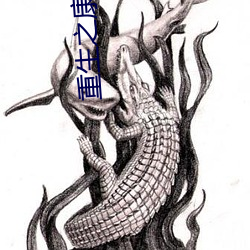 重生(shēng)之康熙荣(róng)妃