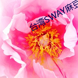 ̨SWAY鶹 ѹ