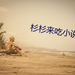 杉杉來吃小說