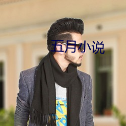 五月小说 （紧密）
