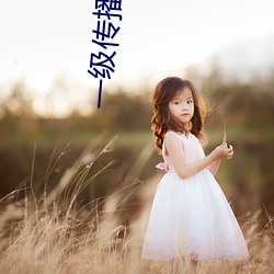 一级传播理论的ppt