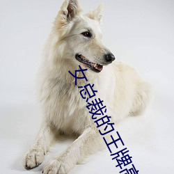 女总裁的王牌高手 （迁善塞违）