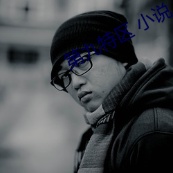 第九特(特)区(區) 小说