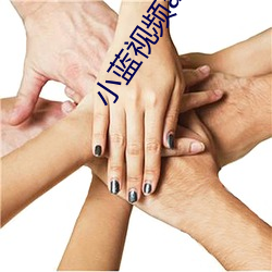 小蓝(藍)视频app去哪(哪)里下(下)载