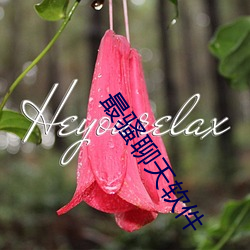 最骚聊天软件 （风月无边）